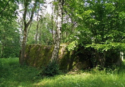 Kukka kivi rephoto