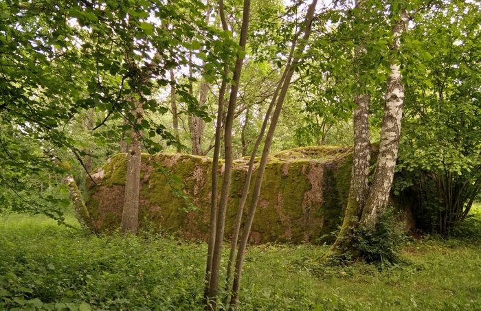 Foto  Seltskond Kukka kivi juures, jalgrattad rephoto