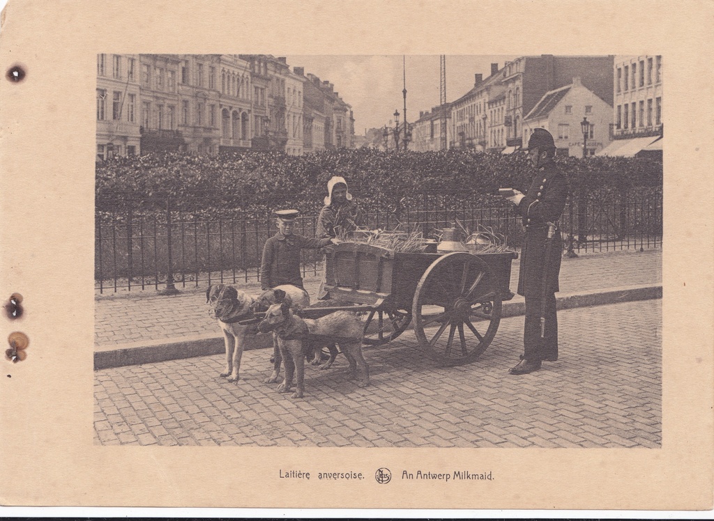 Antuérpia, Bélgica, inicio do Sec. XX, Laitière anverse, Arquivo de Villa Maria, Angra do Heroísmo, Açores. - lang