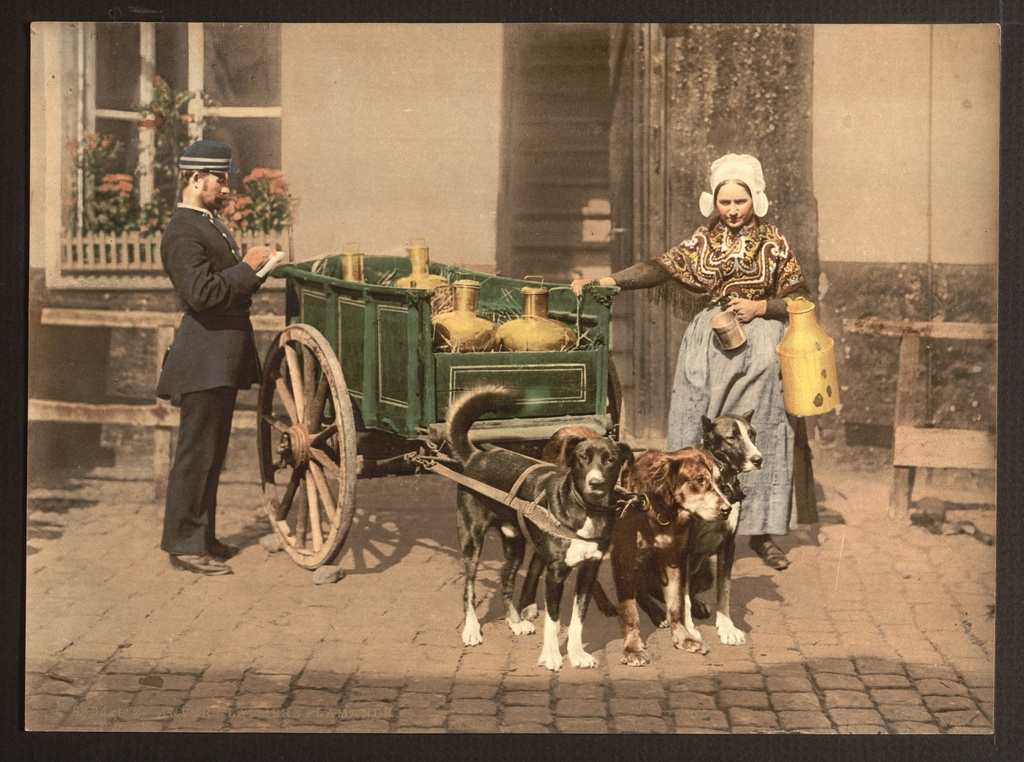 Antwerp, Vlaamse melkmeid, photochrom (unedited original) - Flemish milkmaid is fined. Antwerp. Photochrome, ca. 1890-1900.