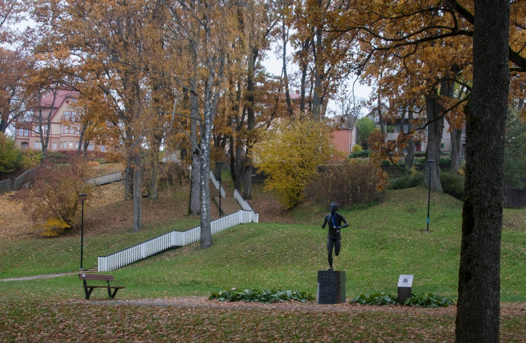 koloreeritud trükipostkaart, Viljandi, Trepimägi, u 1907-08, kirjastaja E. Ring rephoto