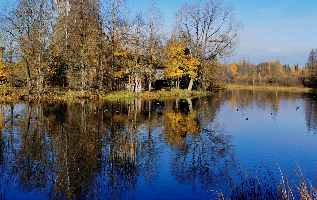 Vaade Palamuse veskijärvele ning Drawneekide riidevärvimistöökoja hoonetele rephoto