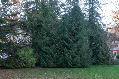 Postcard, Beautivere castle, garden side rephoto