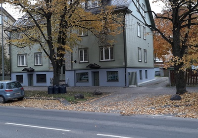 Dressed elephants are moved from the railway station to the circus of Tallinn. rephoto