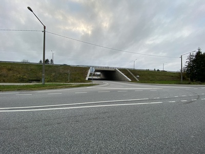 Assaku viadukt1 - Assaku viadukt rephoto