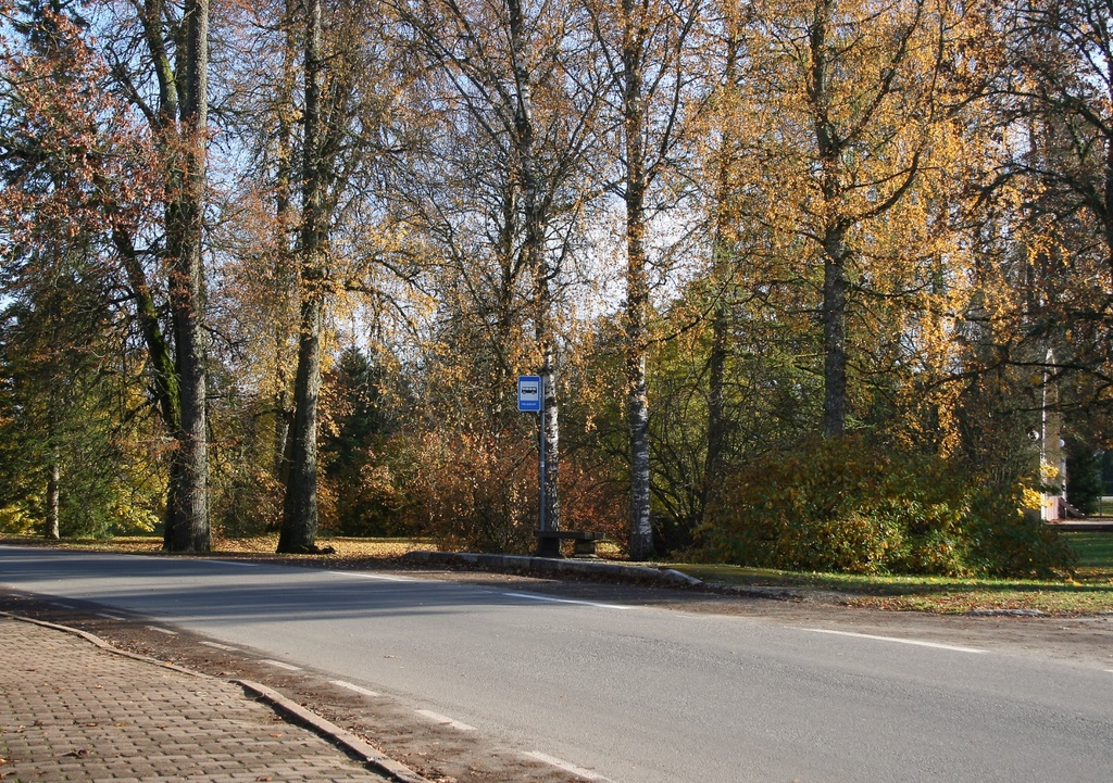 Vaade Palamuse bussijaamale rephoto