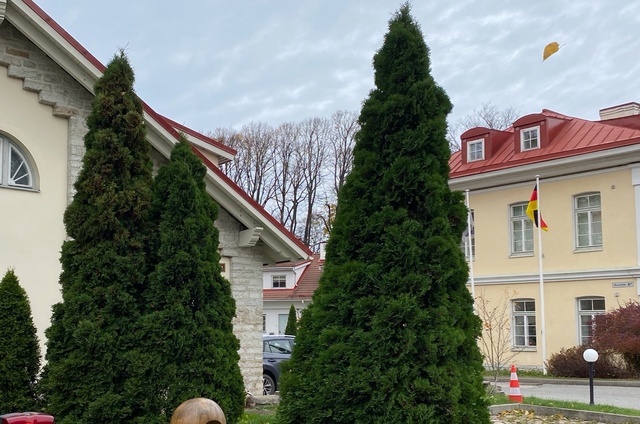 Vaade Suurtüki elamukvartalile Tallinna vanalinnas rephoto