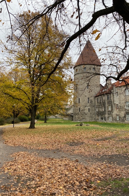 Winter Tallinn. The Old Town Towers and the Oleviste Church. rephoto