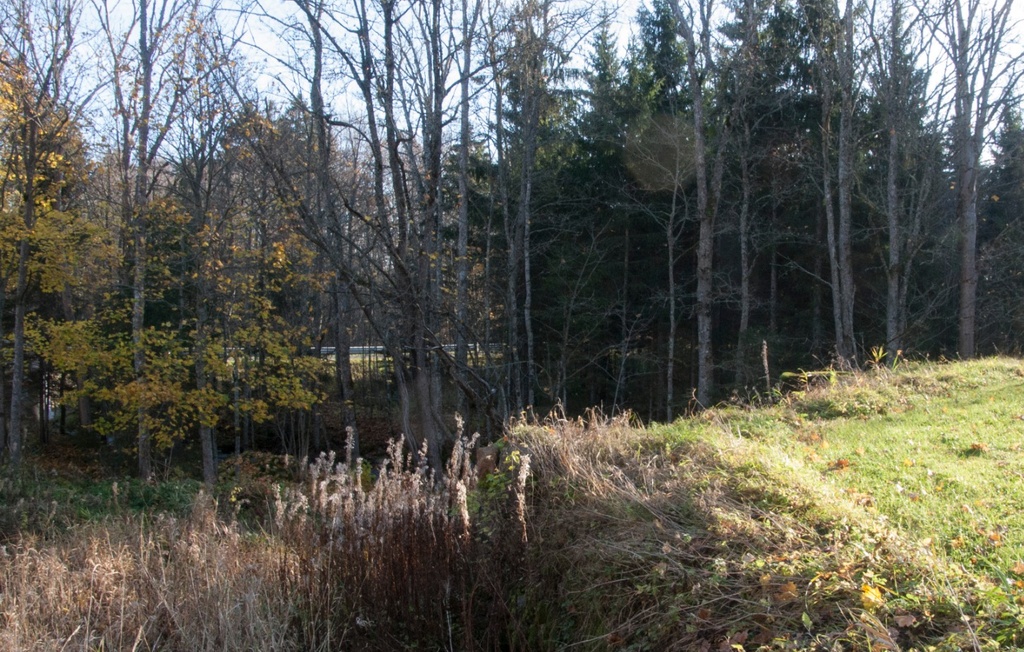 foto, Suure-Jaani khk, Olustvere, Jaska veski, 1957 rephoto
