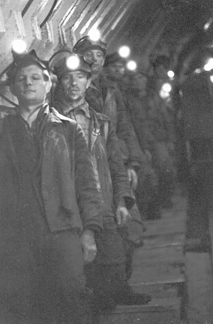 Miners landing in mining