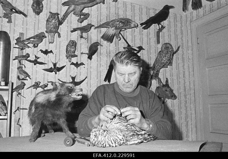 Vändra kodu-uurija Karl Kontus kodus öökulli topist tegemas.