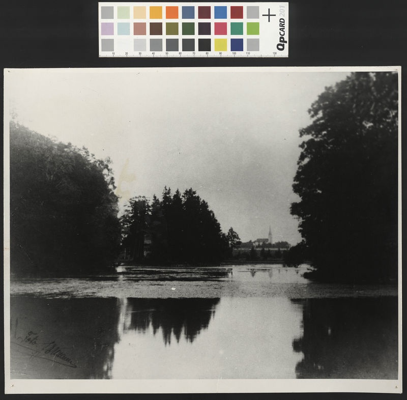 Riisipere Manor Ticket