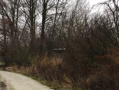 Vaade linnale lõunast rephoto
