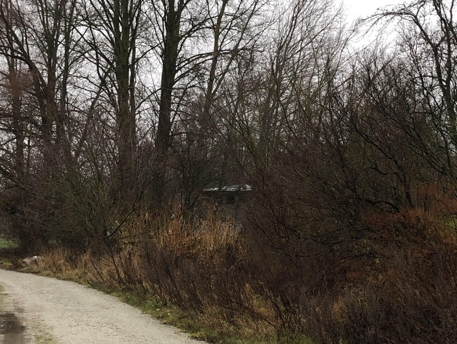 Vaade linnale lõunast rephoto