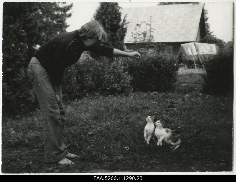 Woman playing with cats in the farm courtyard