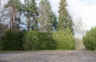 foto, Viljandi, Uueveski vennaskalmistu, mälestussammas, u 1960 rephoto