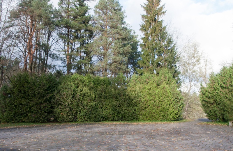 foto, Viljandi, Uueveski vennaskalmistu, mälestussammas, u 1960 rephoto