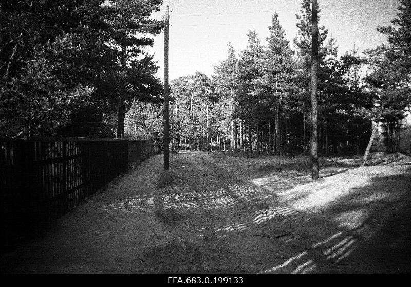 A. h. Tammsaare Street, (since 25.11.1966 Serva Street) Nõmmel.