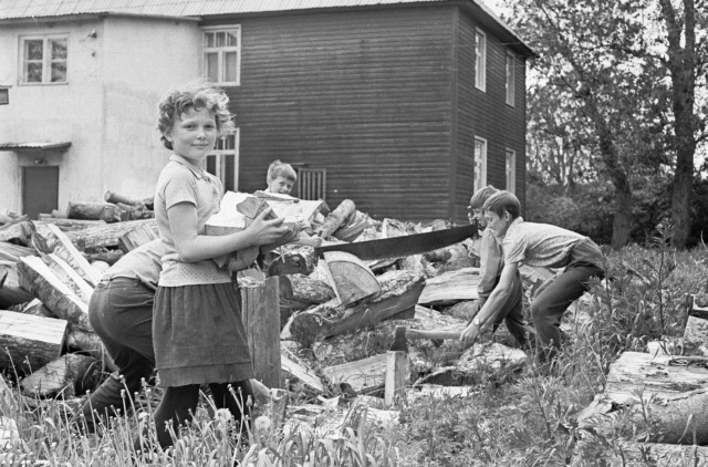 Piirissar. "for the coming winter."