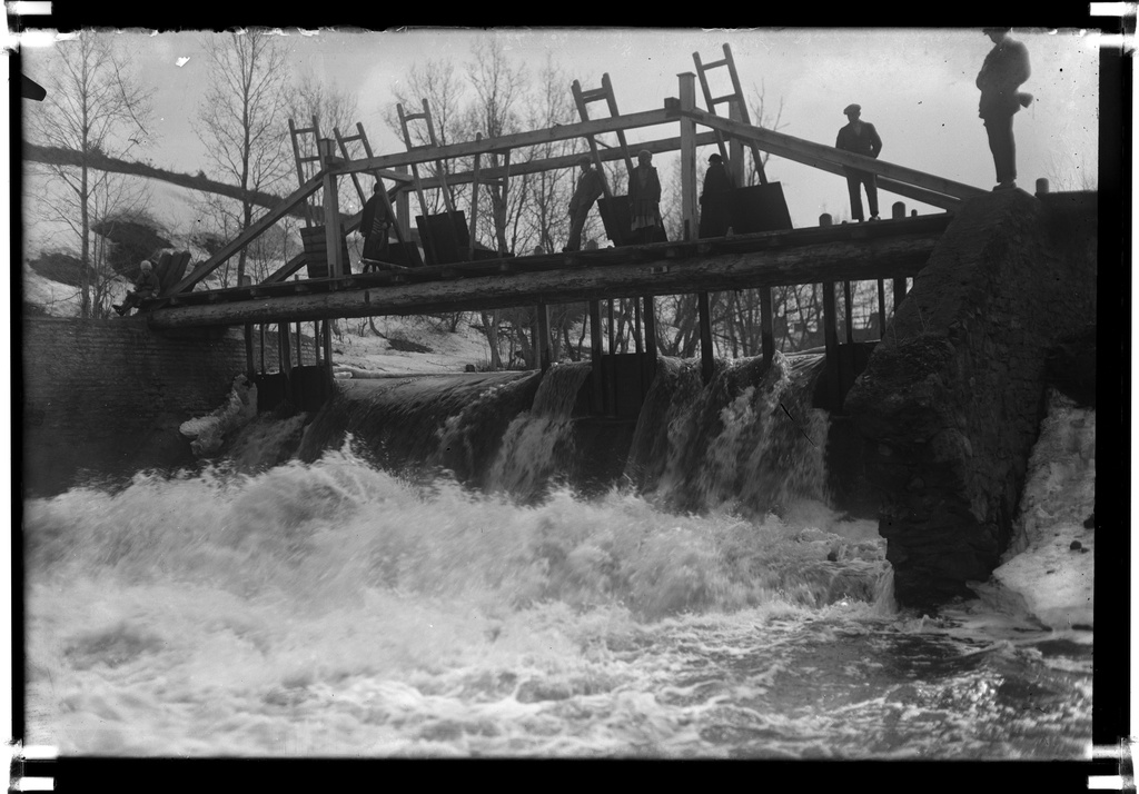 The manor of Kunda rose in the village of Linnuse.