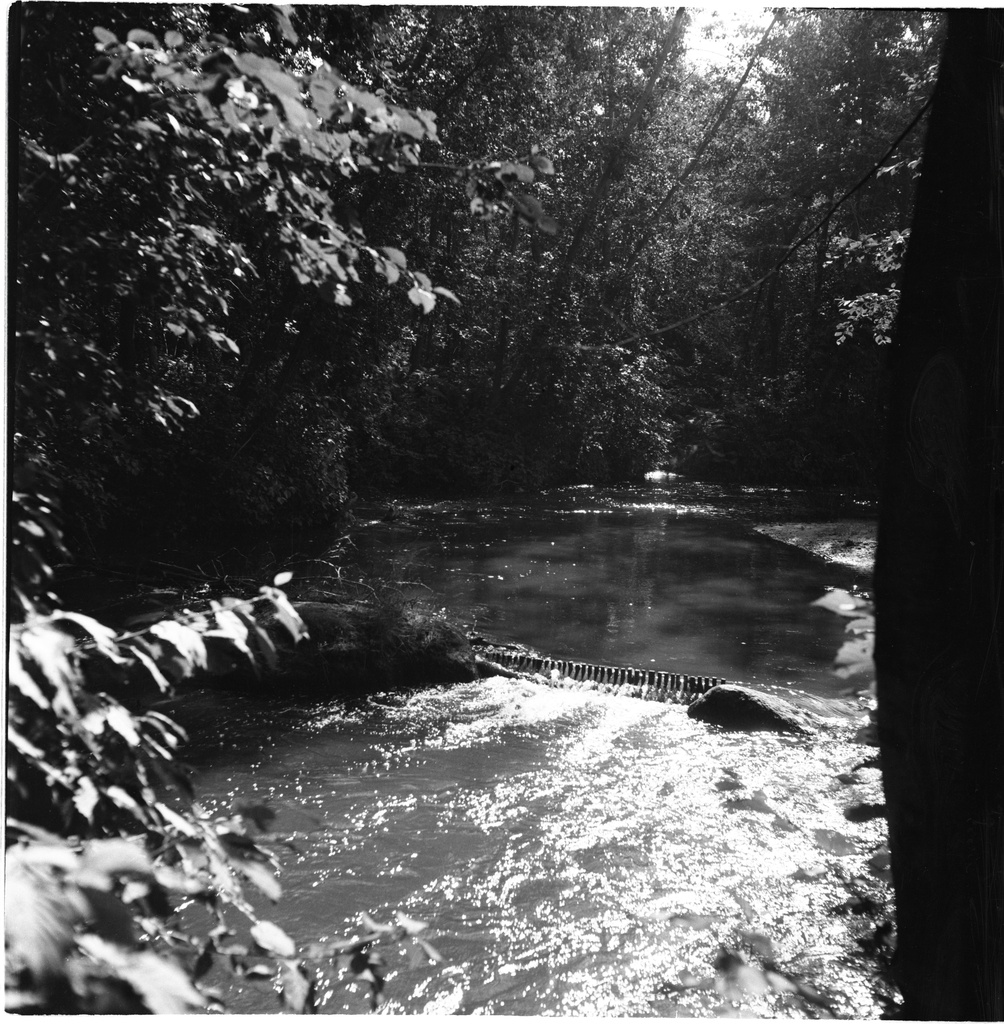 Kunda River (from electric darm upwards viewed from tamm)
