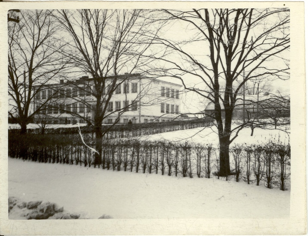 Photo, Järva-Jaani view in 1959.