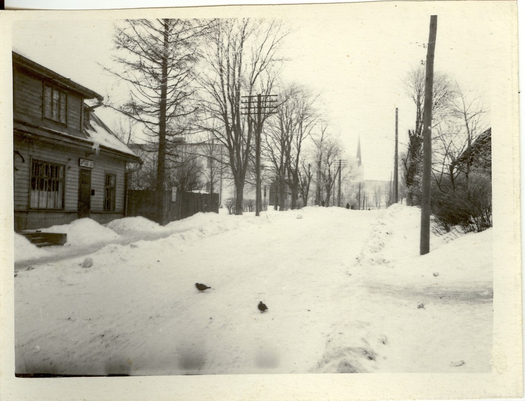 Photo, Järva-Jaani view in 1959.