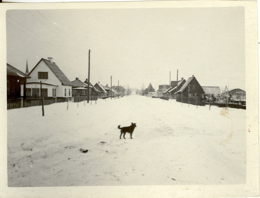 Photo, Järva-Jaani view, Lai Street in 1959.