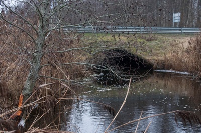 Sillaotsa sild üle Leivajõe Lehmja-Aruküla teel. rephoto
