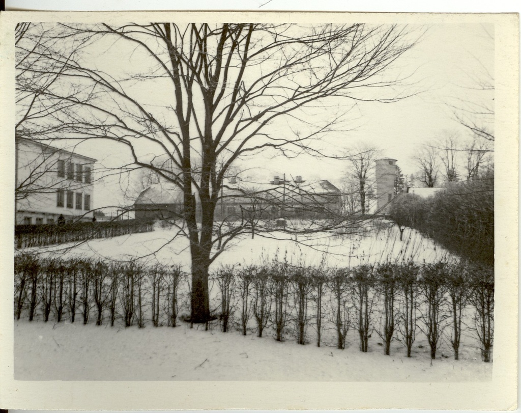 Photo, Järva-Jaani view in 1959.