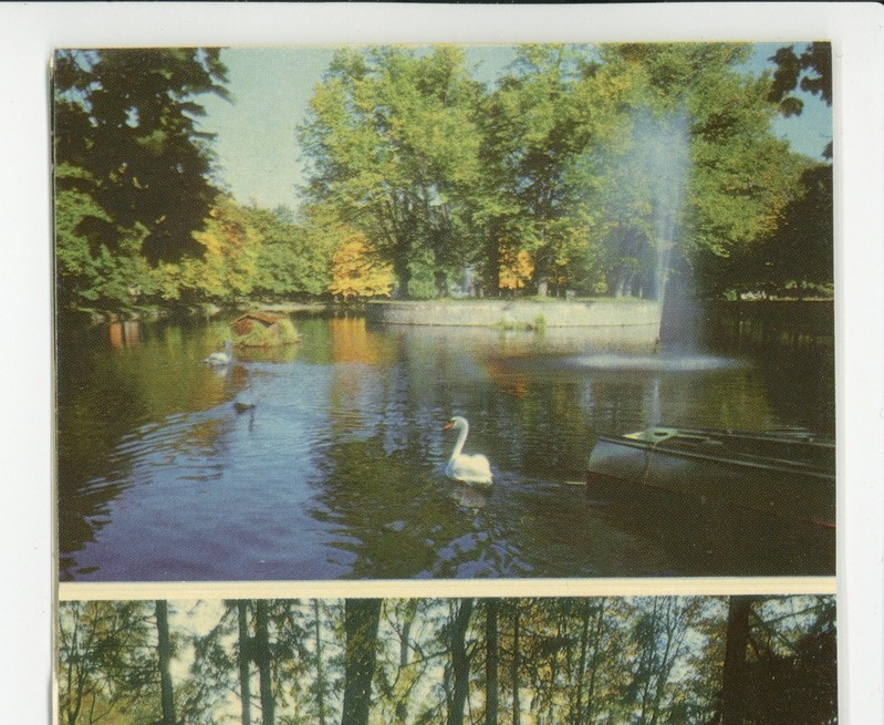 Kadriorg