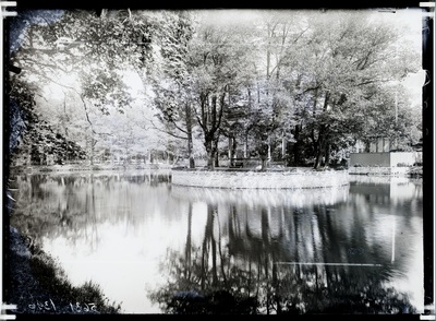 Tiik Kadrioru park  duplicate photo