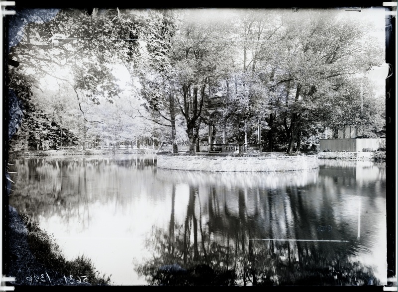 Tiik Kadrioru park