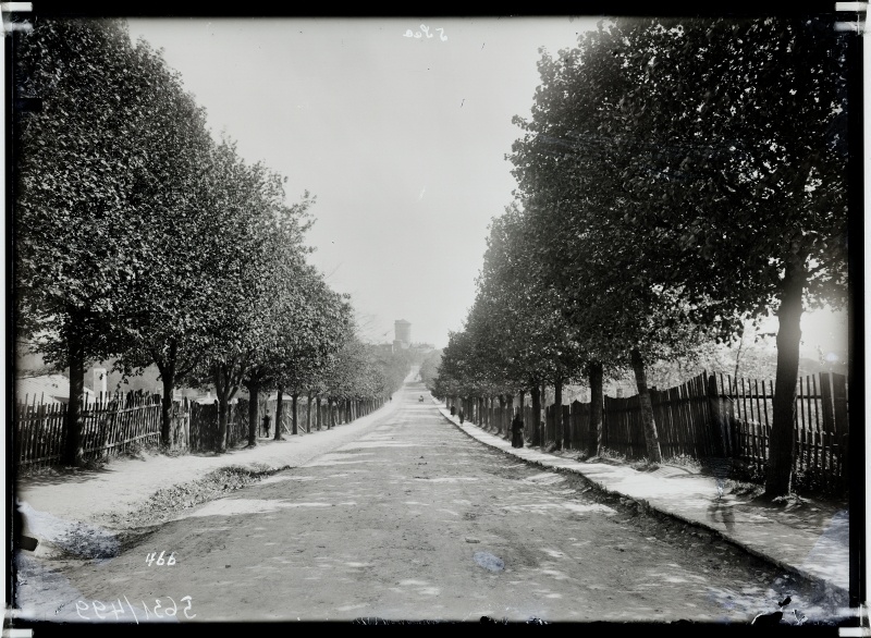 Kaarli Street