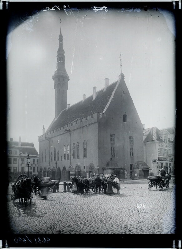 Raekoda