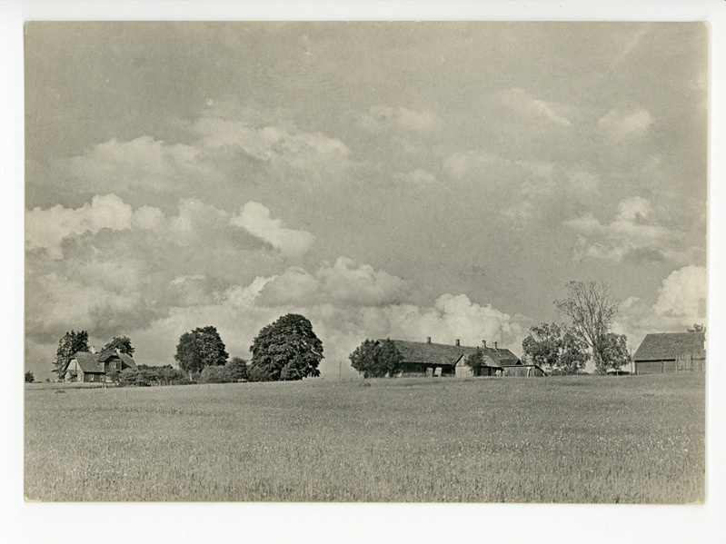 Põhja- ja Lõuna-Tammsaare talud kaasajal, 1967