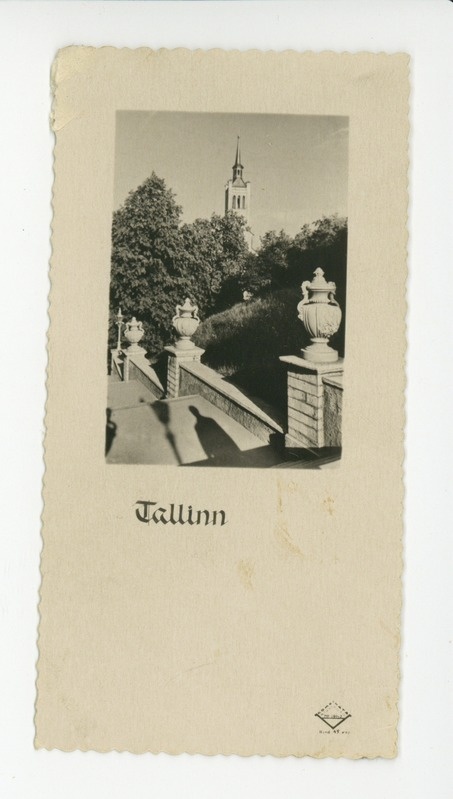 Tallinn, Harju mäele viiv Mayeri trepp