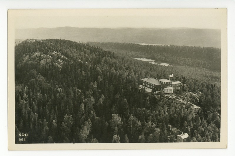 Koli