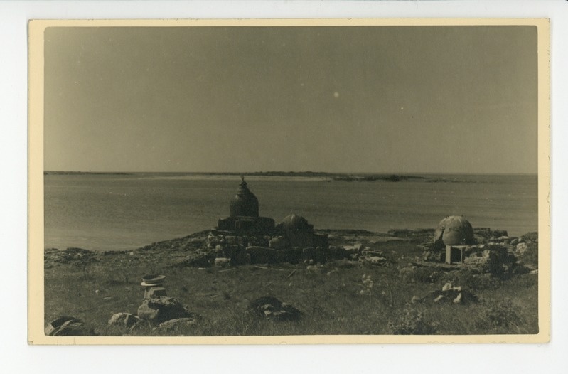 Saaremaa (Vilsandi)
