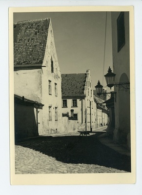 Narva  duplicate photo