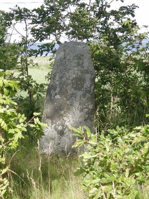 Kalmekivi Tarvastus Viljandimaa rephoto