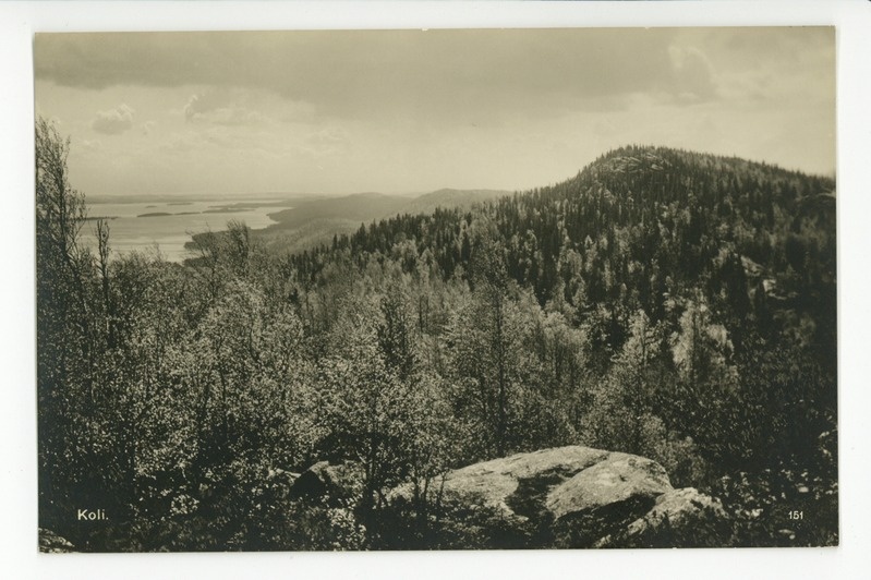 Koli