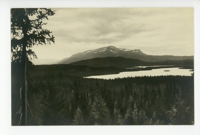 Vaated  duplicate photo