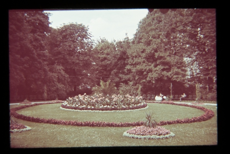 Viini Raekoja park. Kõrged puud, ees ringikujulised lillepeenrad, peenra kõrval pinkidel istujad, lapsevanker.