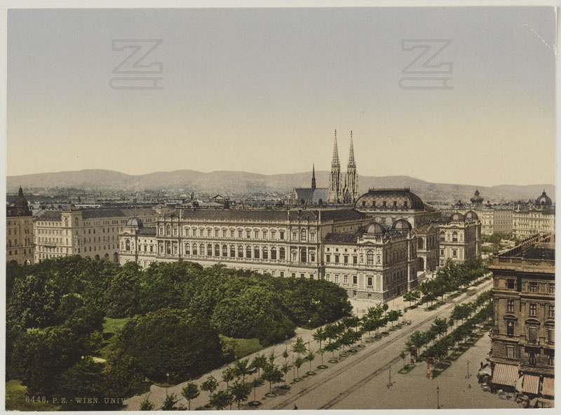 Vienna. University