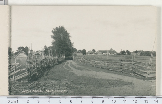 Estonian village, village street from Tartumaa