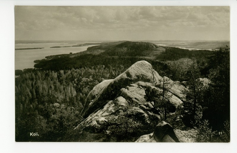 Koli