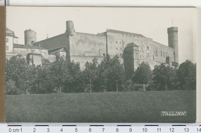 Toompea Castle