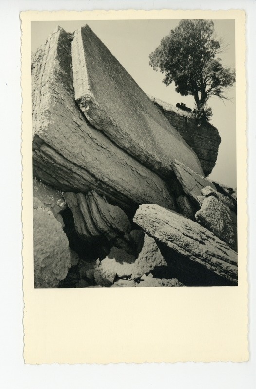 Pakri
