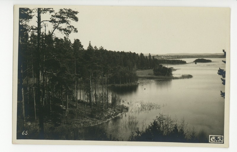 Punkaharju